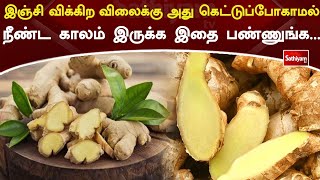 இஞ்சி விக்கிற விலைக்கு அது கெட்டுப்போகாமல் நீண்ட காலம் இருக்க இதை பண்ணுங்க... | Web Special | Ginger