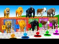 Elephant Lion Gorilla Tiger Cow Guess The Right Door ESCAPE ROOM CHALLENGE Animals Tire Game