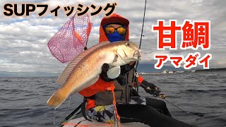 【エサ釣り】生命の源で幻の魚“アマダイ”釣っていく！！