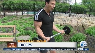Peter's Principles - biceps