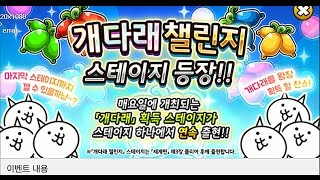 (한번에 개다래 스테이지 5개 출현!)냥코대전쟁 개다래 챌린지 비취의 유혹 상급 클리어![괴최]