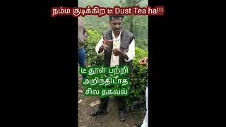 #TeaPowder benefits /டீ தூள் பற்றி அறிந்திடாத சில தகவல்/Special Tea #shorts #tamilnadu #teapowder