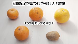 【スタッフ編】 和歌山で見つけた珍しい果物をスタッフと食べ比べ味チェック