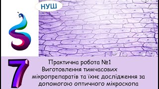 Практична робота №1Виготовлення тимчасових  мікропрепаратів та їхнє дослідження