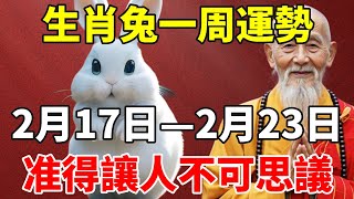 生肖兔一周運勢：2月17日—2月23日，准得讓人不可思議！【慧安說禪】#生肖 #財運 #運勢 #屬相 #風水 #命理