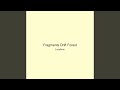 Fragments Drift Forest