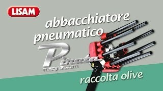 Raccolta Olive: abbacchiatore pneumatico Pirata Magnesium