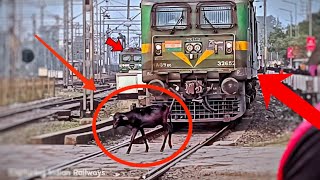 Train hits cow accident