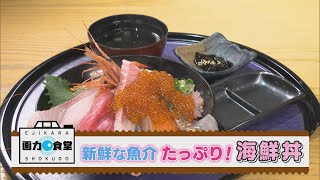 にじパレ 画力食堂 福井の宝石箱！「海鮮みなと家」