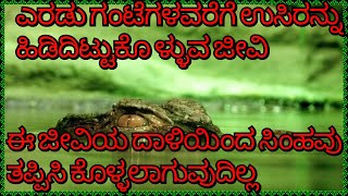 2 ಗಂಟೆಗಳವರೆಗೆ ಉಸಿರನ್ನು ಹಿಡಿದಿಟ್ಟುಕೊಳ್ಳುವ ಏಕೈಕ ಜೀವಿ.   ಸಿಂಹವು ಇದರ ದಾಳಿಯಿಂದ ತಪ್ಪಿಸಿಕೊಳ್ಳಲಾಗುವುದಿಲ್ಲ