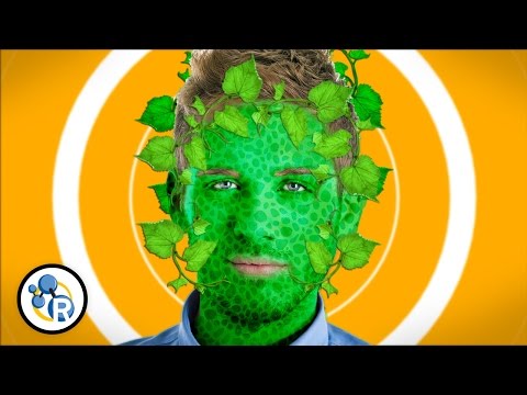 What happens if there is too much photosynthesis?