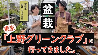 【盆栽初心者】山崎ちえ先生に「上野グリーンクラブ」を案内してもらいました