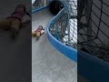 shock😱刺激的三層樓高溜滑梯 slippery slide 水之丘公園