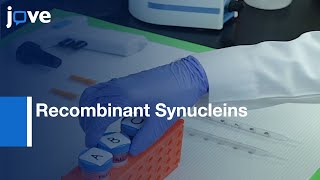 Recombinant Synucleins Stimulate Catalytic Activity in Cell free Assay | Protocol Preview