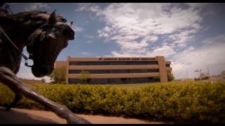 AQHA Proud