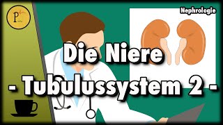 Das Tubulussystem unserer Niere erklärt. (Diuretika: Spironolacton, Thiazide, HCT, Xipamid) Teil 2