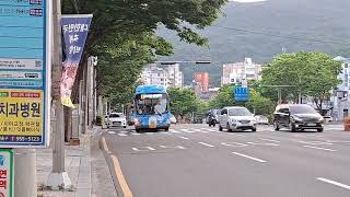 부산81번마린버스,부산54번버스 도착,발차영상