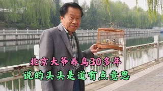 北京大爷养鸟30多年，根据自己的经历，说的头头是道有点意思