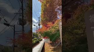 福島市音楽堂、古関裕而記念館周辺の紅葉が綺麗だった😍🍁🍂