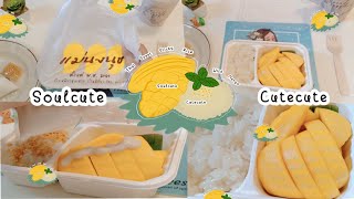 Soulcute กินไปเรื่อย : Mango Sticky Rice ข้าวเหนียวมะม่วง แม่นงนุช ราคา 120 บาท ต้องจัดแล้วหละ🥭