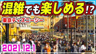 12月の変更点は!?スタンバイパス、エントリーだらけの過ごし方…!! / 12月上旬の東京ディズニーシーの様子