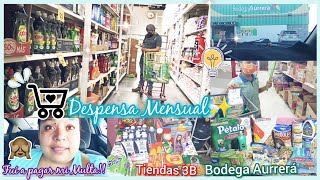 #vlog Despensa Mensual🛒✨| fuí a pagar mi Multa🙈💸