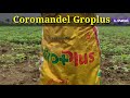 best fertilizer groplus then ssp and dap single super phosphate and diammonium phosphate fertilizer