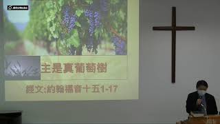 20220417　主是真葡萄樹　約翰福音十五1~8　林廣耀弟兄