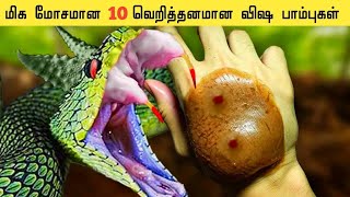 அரியவகை பாம்புகள் | Rarest Snake In The World In Tamil | Most Unique Snakes | Galatta Info Tamil