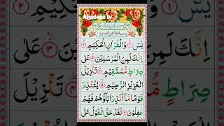 Surah Yaseen | Al-Quran | Tilawat e Quran |