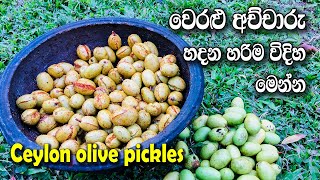 වෙරළු අච්චාරු හදන හරිම විදිහ මෙන්න | Ceylon olive pickles