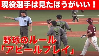 【難しい野球ルール】アピールプレイ（空過のアピール）【あなたは知ってる？】