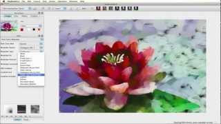 Color Randomization