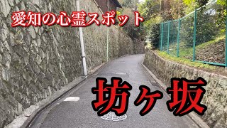 【心霊スポット】愛知県で有名な心霊スポット『坊ヶ坂』を朝方に歩いてみた！