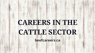 Careers Opportunities in Livestock Marketing \u0026 Operations