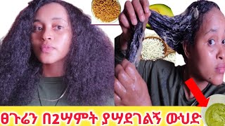 ፀጉራችንን በአንዴው የሚቀይረው ተአምረኛው የፀጉር ማሥክ//የሚገርም ውጤት| የተጎዳ ፀጉር በፍጥነት የሚመልሥ!your hair will not stop grow