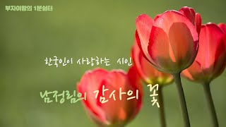 한국인이 사랑하는 시인 남정림의 감사의 꽃