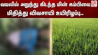 வயலில் அறுந்து கிடந்த மின் கம்பியை மிதித்து விவசாயி உயிரிழப்பு..| Virudhachalam