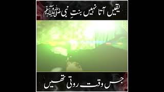 meesum abbas || ayyam e fatima s.a|| maa zehra s.a || 2021 || new noha || status video ||