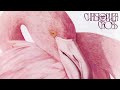 Christopher Cross - No Time for Talk (Official Lyric Video)