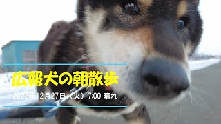 「便利な田舎コンビニエンスザカ」広報犬の朝散歩〈長野県須坂市への移住相談は信州須坂移住支援チームへ〉