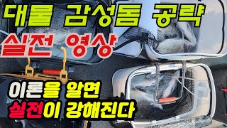 금오열도의 대물 감성돔 ( 이론을 알고 실전에 대비하자!!)