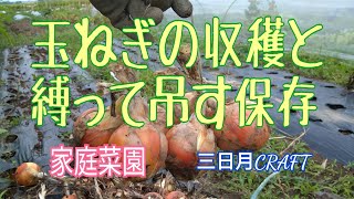 玉ねぎの収穫と縛って吊す保存方法