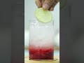 ബ്ലഡ് ഓറഞ്ച് mojito orangemojito ramadan ramadanrecipes summerdrink iftarrecipe