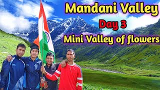 Mandani Valley || Mini Valley of Flowers || One of The Most Beautiful Place of Uttarakhand