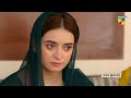 Recap - Ant Ul Hayat - Episode 01 - 1st August 2022 - HUM TV Drama