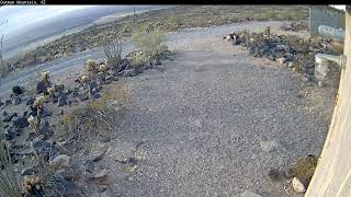 Timelapse Video of Oatman Mountain 20241116