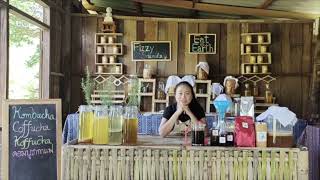 คอมบูชากาแฟ Coffucha / Koffucha / Coffee Kombucha - Down To Earth Thailand