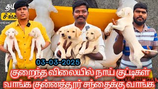 💥குன்னத்தூர் சேவல் சந்தையில் நாய் குட்டிகள்வரத்து அதிகம் விற்பனை அமோகம் #dog #monday #tirupur #tamil