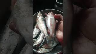 சாள மீன் 🐟 வாங்கி யாச்சு